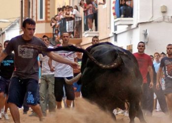 Compromís cuantifica en un millón de euros anual el coste de la cobertura sanitaria de los Bous al Carrer aprobada por socialistas, derecha y ultraderecha