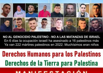 Manifestación en Madrid el sábado 10 de diciembre: «Derechos Humanos para los Palestinos»