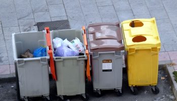 Alianza Verde celebra el informe de recogida separada de envases que obliga a poner en marcha el SDDR