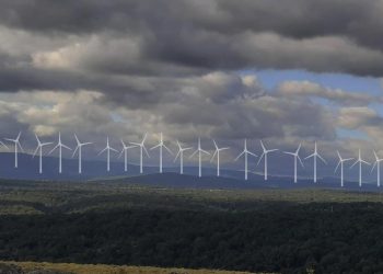 Verdes Equo critica la supresión de los controles ambientales para el despliegue de renovables