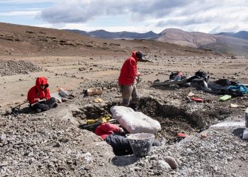 Dinosaurios de 10 metros dominaron la Patagonia chilena hace 70 millones de años