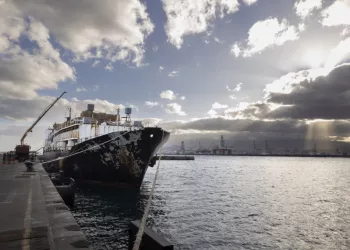 PACMA, sobre el barco-establo cargado de cocaína en la costa Gran Canaria: “poco se habla del calvario del transporte marítimo de animales”