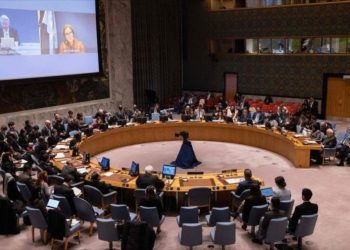 Consejo de Seguridad de ONU: Colonias israelíes impiden la paz