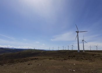 «No es aceptable más eólicos en espacios naturales en el Occidente, como los 3 que autoriza el Principado de Asturias hoy en el Bopa»