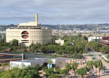 CGT FASE: «La Consejería de Desarrollo Educativo y Formación Profesional no barema la experiencia a funcionarias andaluzas»