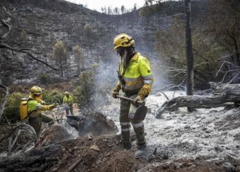 Bomberos Forestales exigen operativo completo durante todo el año