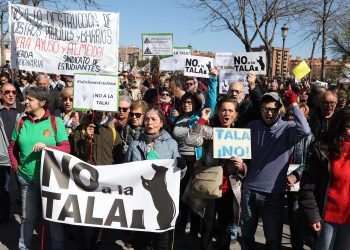 La autorización de tala en Madrid Río emitida por el Ayuntamiento de Madrid se basa en falsedades