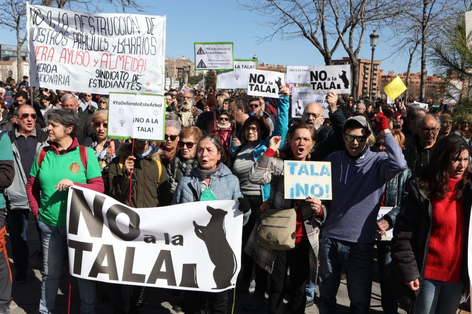 La autorización de tala en Madrid Río emitida por el Ayuntamiento de Madrid se basa en falsedades