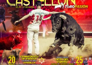 PACMA denuncia el sometimiento a una angustia extrema a un toro embolado en Castellón