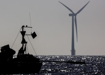 «Los nuevos Planes de Ordenamiento del Espacio Marítimo (POEM) no muestran un compromiso decidido por la conservación del medio marino»