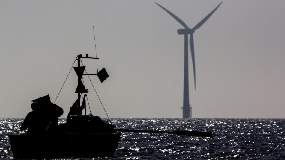 «Los nuevos Planes de Ordenamiento del Espacio Marítimo (POEM) no muestran un compromiso decidido por la conservación del medio marino»