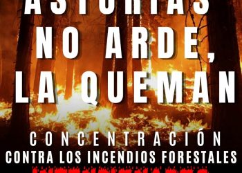 Convocada concentración contra los incendios provocados en Asturias: 3 de abril