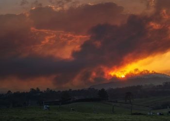 ARBA ante los incendios en Asturias y Cantabria: «Recuperar el acotamiento al pastoreo, reducir plantaciones de pinos y eucaliptos y prohibirlas en montes quemados…»