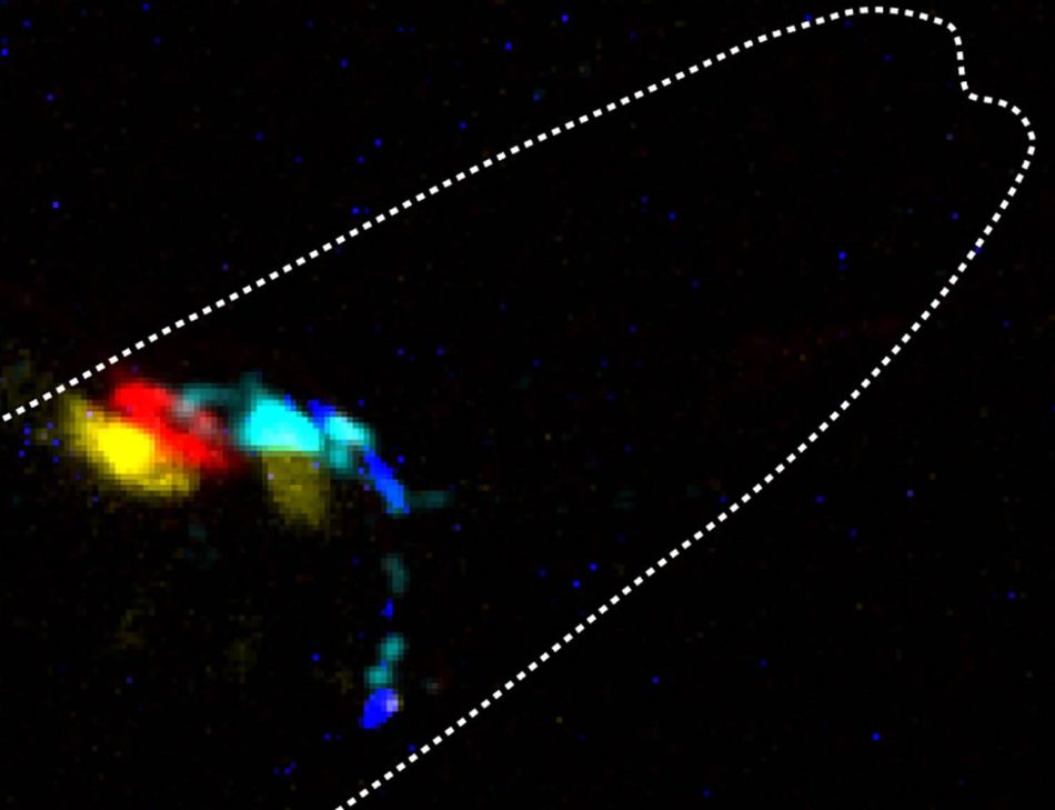 Logran controlar la actividad neuronal con fotones