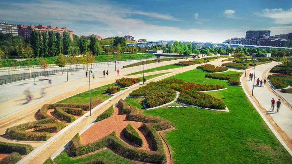 Denuncian la implantación masiva de praderas de césped en la jardinería de la ciudad de Madrid