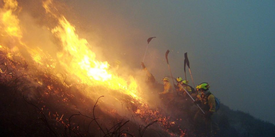 Incendios forestales: se suman 12.000 hectáreas más que claman por la urgencia política de un estatuto básico que dignifique la profesión