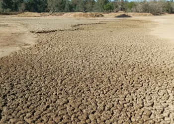 El regadío intensivo provoca que España sea mucho más vulnerable frente a la sequía