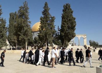 Colonos israelíes asaltan mezquita de Al-Aqsa en Jerusalén