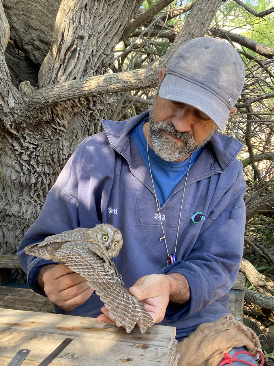 “Aumentan en 2023 las aves capturadas para el estudio sobre aves migratorias llevado a cabo por la organización Societat Ornitològica de Menorca (SOM)”