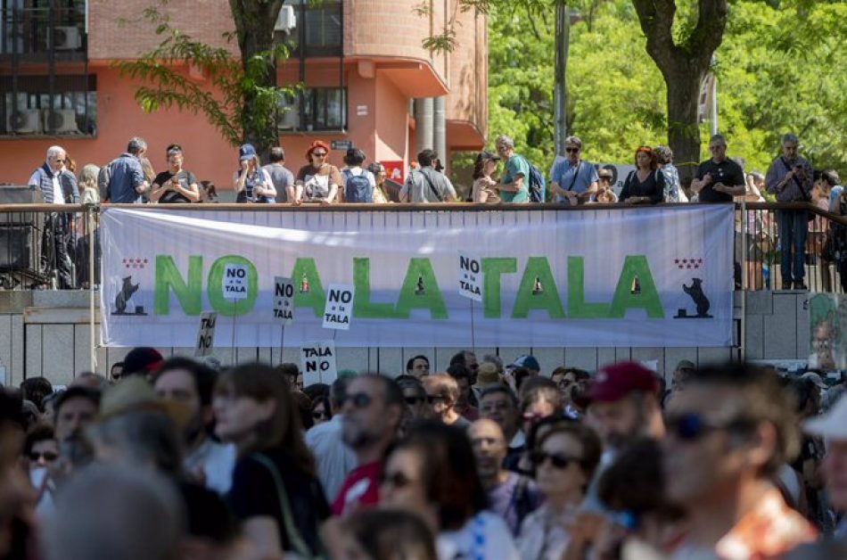 Continúa el procedimiento judicial contra las talas por la ampliación de la Línea 11 de Metro