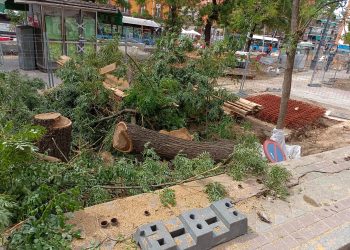 El Ayuntamiento de Madrid tala árboles sin justificación en la plaza de la Emperatriz de Carabanchel