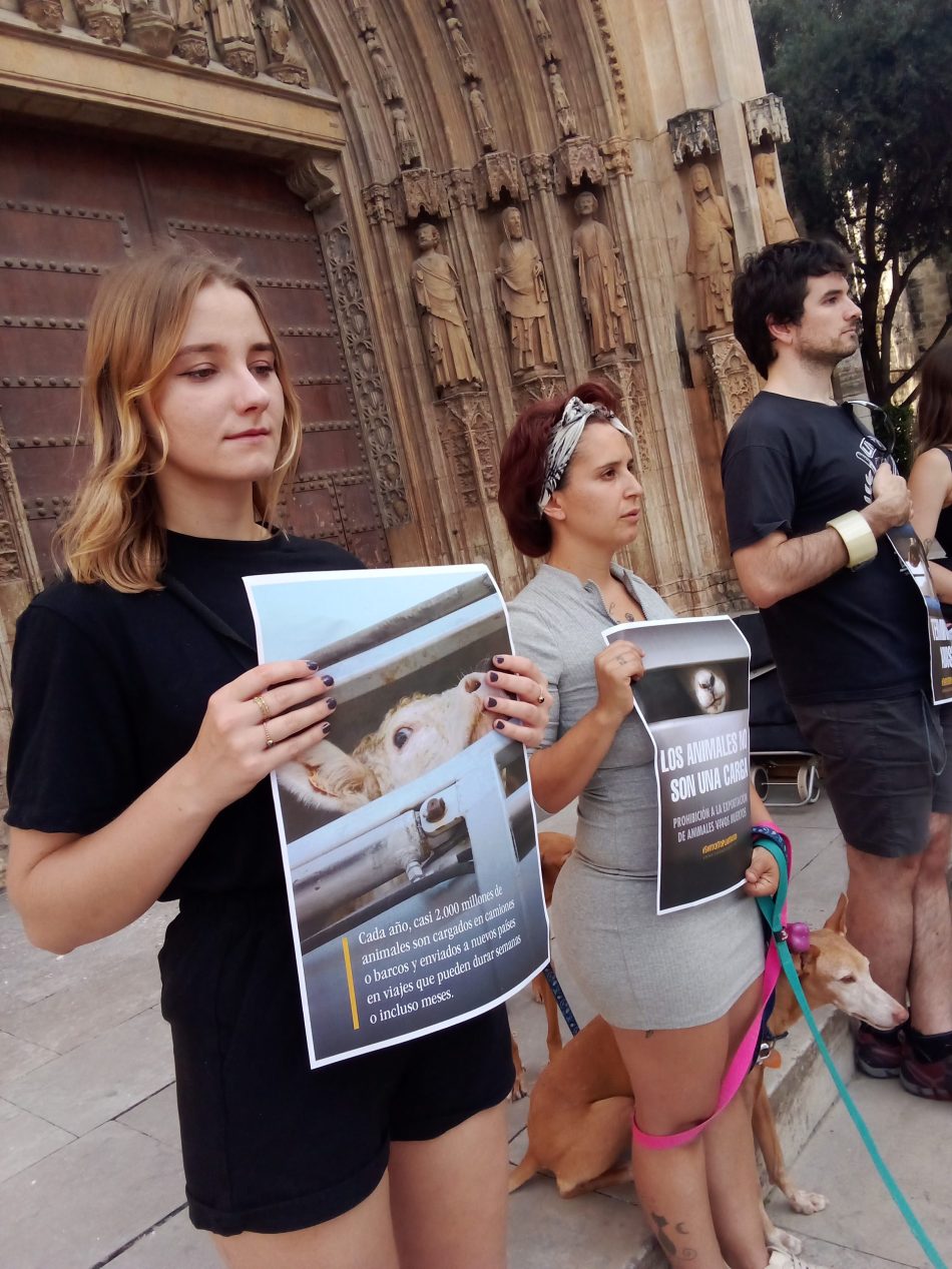 Línea silenciosa contra el transporte de animales vivos