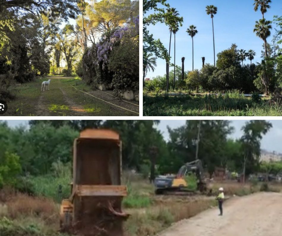 Nominan a la empresa Civitas Pacensis por la destrucción del Parque Ascensión en Badajoz