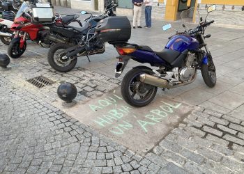 Ruta interpretativa en defensa del arbolado urbano y las zonas verdes «Solanera Tour – Aquí había un árbol»