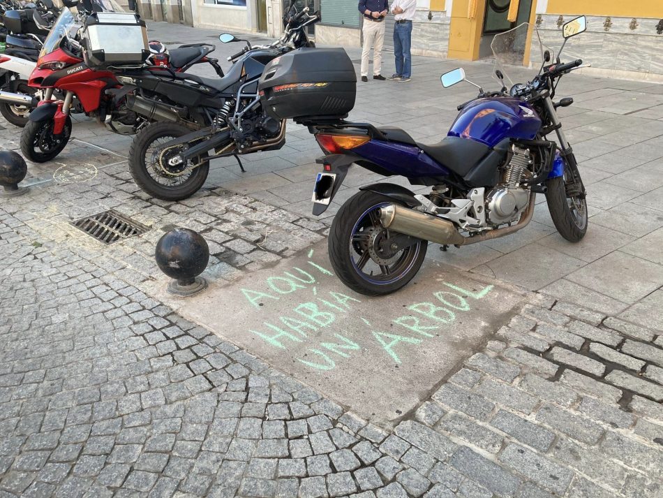 Ruta interpretativa en defensa del arbolado urbano y las zonas verdes «Solanera Tour – Aquí había un árbol»