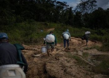 Brasil declara libre de minería ilegal el territorio Yanomami