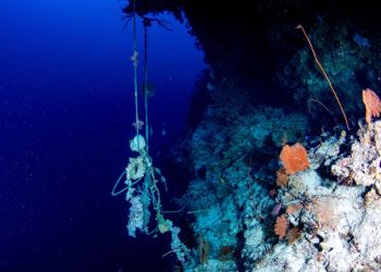 Algunos lagos concentran más plástico que las grandes zonas de acumulación de los océanos