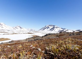 El noroeste de Groenlandia estuvo libre de hielo hace 400.000 años