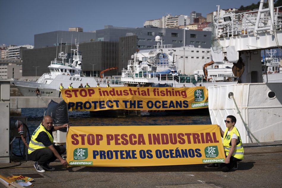 Ecologistas en Acción y Greenpeace demandan en Vigo una gestión sostenible de la pesca para proteger los océanos