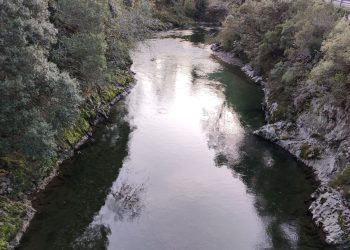 «El Principado y los pescadores de río, dispuestos a acabar con los pocos salmones que nos quedan»