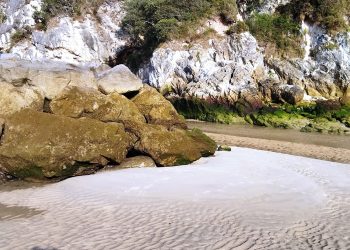 Coordinadora Ecoloxista d´Asturies: «Nos vuelven a preocupar los elevados niveles de nitratos presentes en la playa de la Franca, en Ribadedeva»