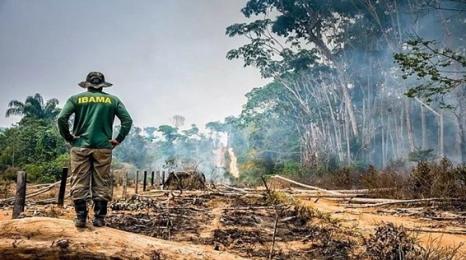 Brasil: deforestación de Amazonía cae 33,6% en primer semestre de 2023