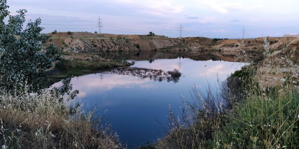 Las Lagunas de Ambroz en la ciudad de Madrid, más amenazadas que nunca