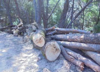 Vecinos de Valdemorillo (Madrid) y ecologistas denuncian talas abusivas y aterramientos del arroyo de San Juan
