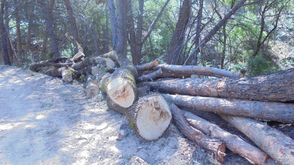 Vecinos de Valdemorillo (Madrid) y ecologistas denuncian talas abusivas y aterramientos del arroyo de San Juan
