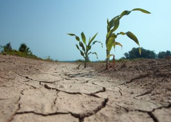 El IIDMA presenta un proyecto europeo sobre adaptación al cambio climático