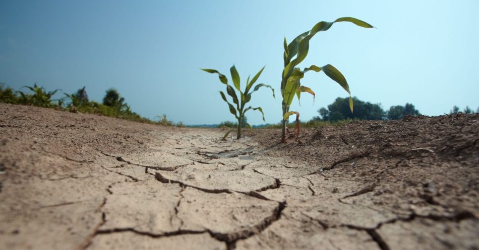 El IIDMA presenta un proyecto europeo sobre adaptación al cambio climático