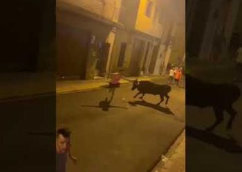 La plataforma antitaurina de Alfafar se pronuncia sobre el atropello del viernes durante el festejo