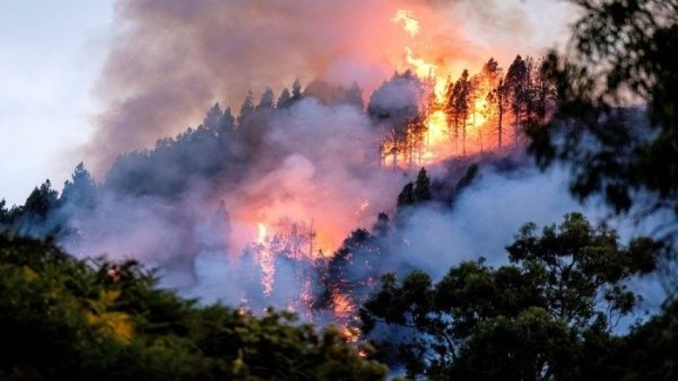 Van 73.500 hectáreas quemadas por incendios en España este año