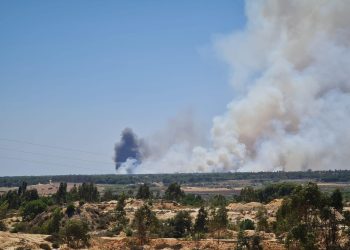 Iniciativa del Pueblo Andaluz denuncia la inacción política del Gobierno andaluz ante las dos consecuencias del Cambio Climático: sequía e incendios