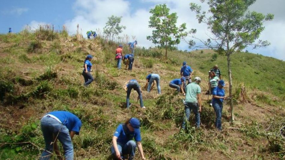 Más de 30 organizaciones se han sumado ya a la iniciativa de pacto de ciudad de Córdoba por la reforestación