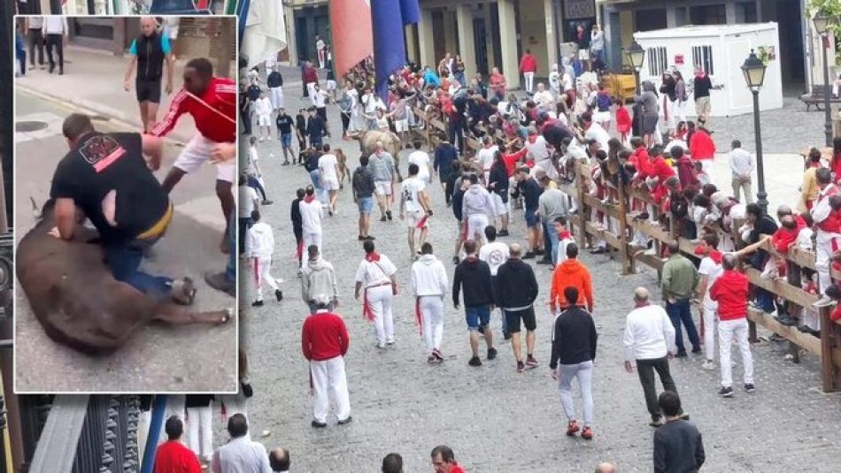 Un hombre embiste y tumba a una vaquilla en un encierro en Estella