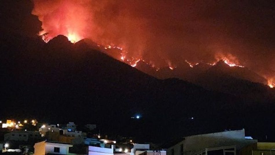 Incendio afecta cerca de 800 hectáreas en Tenerife