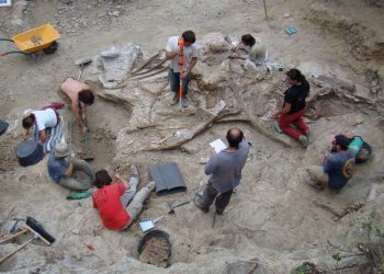 ‘Garumbatitan’, un nuevo dinosaurio gigante hallado en Morella, Castellón