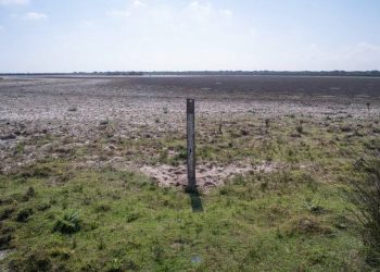 La impunidad del saqueo de aguas en los Hatos de la marisma de Doñana