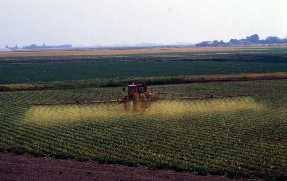 Más de un centenar de entidades agrarias, científicas y ecologistas reclaman al Gobierno leyes ambiciosas contra plaguicidas como el glifosato